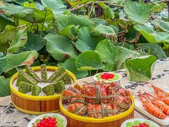 -七的湖·晚芳亭·阳澄湖农家菜·大闸蟹(莲花岛店)