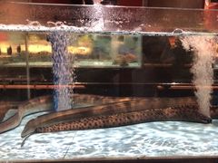 -阿伟海鲜楼·福建菜(延寿店)