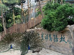 -燕塞湖鸟语林景区