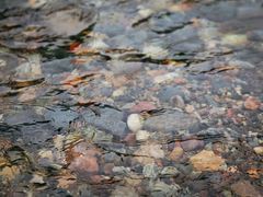 -白河湾生态旅游一条川