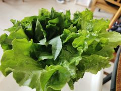 -金记猪肚鸡(琅西店)