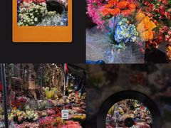 -循礼门鲜花花市(武汉循礼门店)