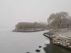 -大兴滨河森林公园