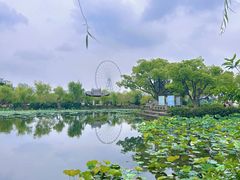 -无锡蠡湖国家湿地公园-蠡园