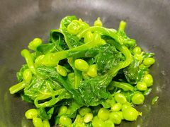 豌豆苗-子福慧(虹桥店)