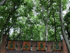 -灵谷景区