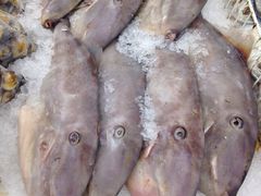 -NSK Trade City(Kuchai Lama)