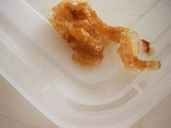 -添星码头茶餐厅(松坪山店)