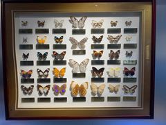 -上海昆虫博物馆