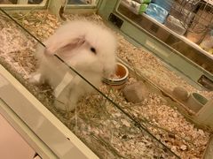 -龙猫仔乐园(惠福东路店)