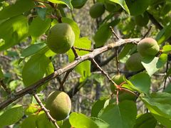 -淇河国家湿地公园