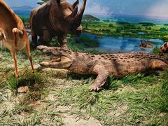 -国家自然博物馆