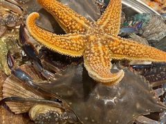 -蚝堡海鲜·威海菜·海肠捞饭·烧烤·亚洲吃蚝公司(幸福门店)