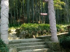 -杭州黄龙洞