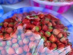 -城南综合水果批发市场(花园路店)
