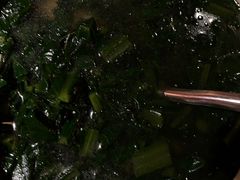 -客语客家菜(东山口店)