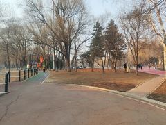 -黛秀湖公园