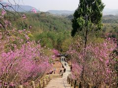 -天台山赤城山景区