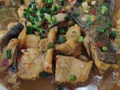 -全乐鱼馆·淳牌有机鱼直营店