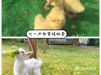 ️️小朋友们平时都在繁华的大都市里面生活，也没有机会