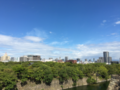 -大阪市立自然史博物馆