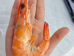 -众味海鲜大排档·活海鲜·潮汕味(南澳店)