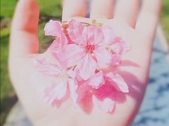 -福建鲤鱼洲酒店