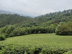 -敬亭山风景名胜区