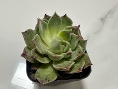 -石家庄万象城