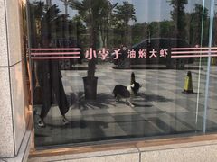 -小李子油焖大虾(天下城旗舰店)