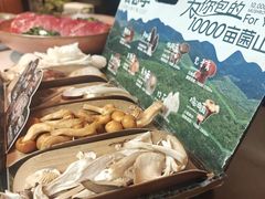 -芸山季·云南山珍菌火锅(人民广场来福士店)