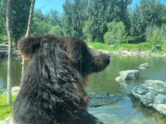 -北京野生动物园