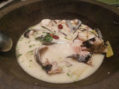 -鲜潭蒸汽石锅鱼(五道口购物中心店)
