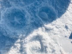 -绿野森林乐园冰雪季