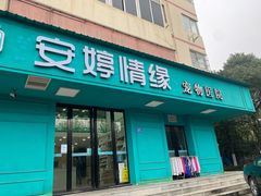 -安安宠物医院(情缘分院)