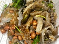 -陈添記·祖傳爽鱼皮·西关老字号(广州首店)