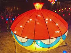 -南宫五洲植物乐园