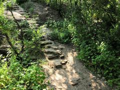 -白水寺森林公园