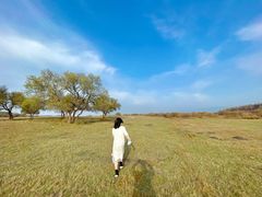 -塞罕坝国家级自然保护区