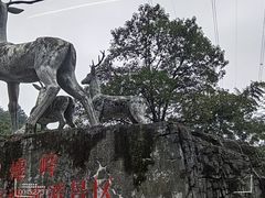 -长沙黑麋峰国家森林公园