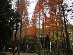 -苏州河梦清园环保主题公园