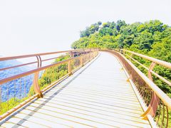 -少华山国家森林公园