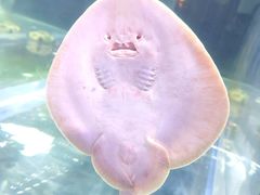 -欢乐海岸海洋奇梦馆