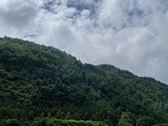 -腾冲北海湿地