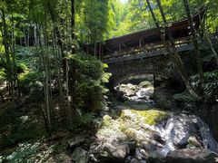 -藏龙百瀑风景区