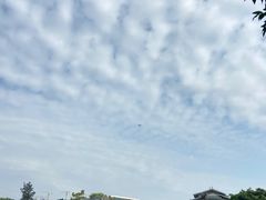 -海上田园