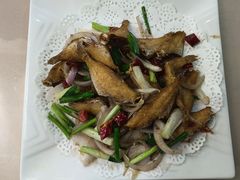 -新楚记