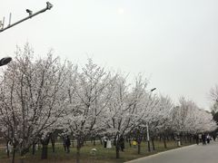 -石家庄市植物园