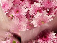 -循礼门鲜花花市(武汉循礼门店)