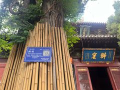 -洛阳白马寺